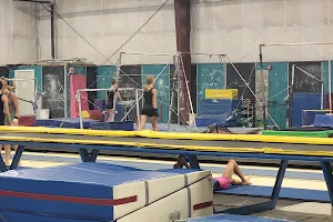Technique Gymnastics image