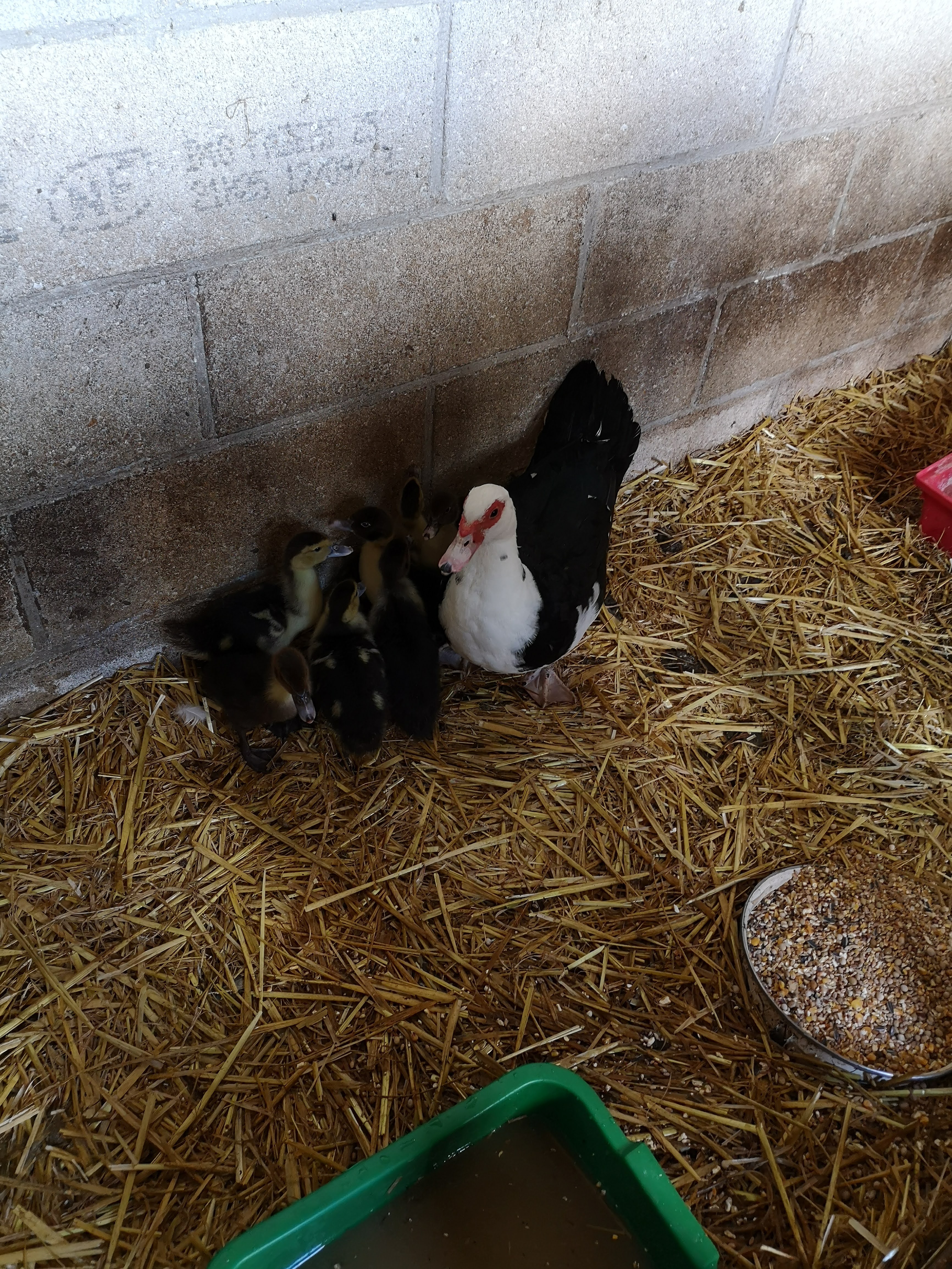 Photo n° 14 de l'avis de David.o fait le 22/06/2020 à 04:43
