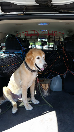 Pet Supply Store «PetSmart», reviews and photos, 5435 W TX-1604 Loop N, San Antonio, TX 78253, USA