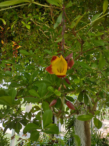 Park «Garfield Park», reviews and photos, 2505 Conservatory Dr, Indianapolis, IN 46203, USA