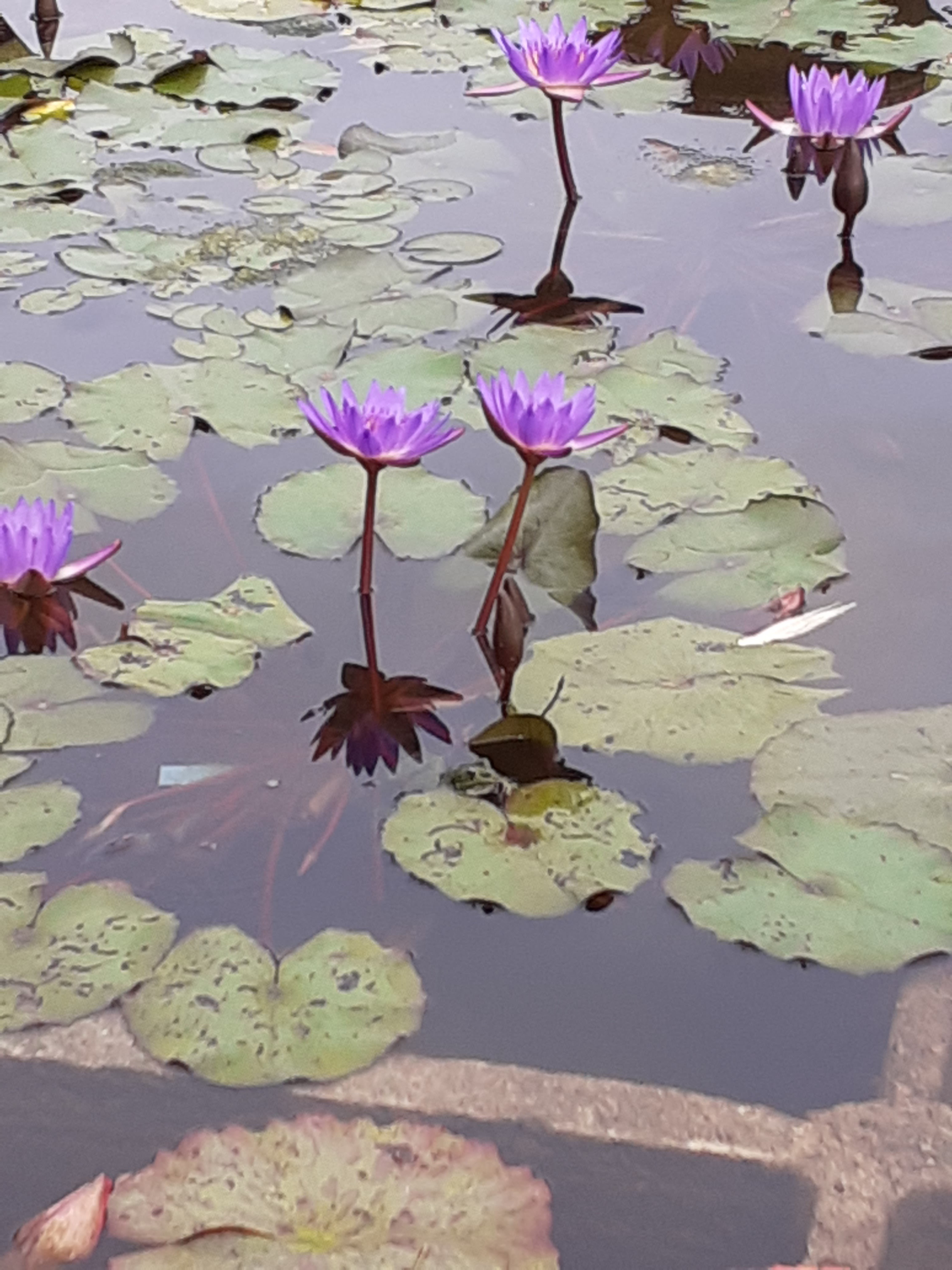 Photo n° 2 de l'avis de vanessa.e fait le 06/07/2021 à 20:45