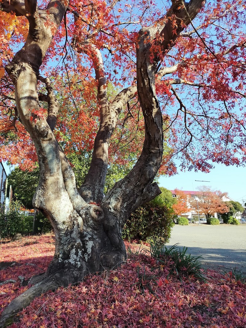 長楽寺公園