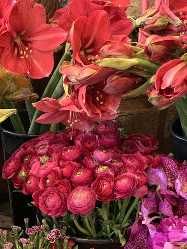 Florist «Green Inc», reviews and photos, 1718 N Wells St, Chicago, IL 60614, USA