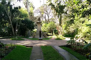 Jardín Botánico, Guatemala image