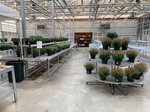 Produce Market «E Draghi & Son Farm Stand», reviews and photos, 86 Main St, South Glastonbury, CT 06073, USA