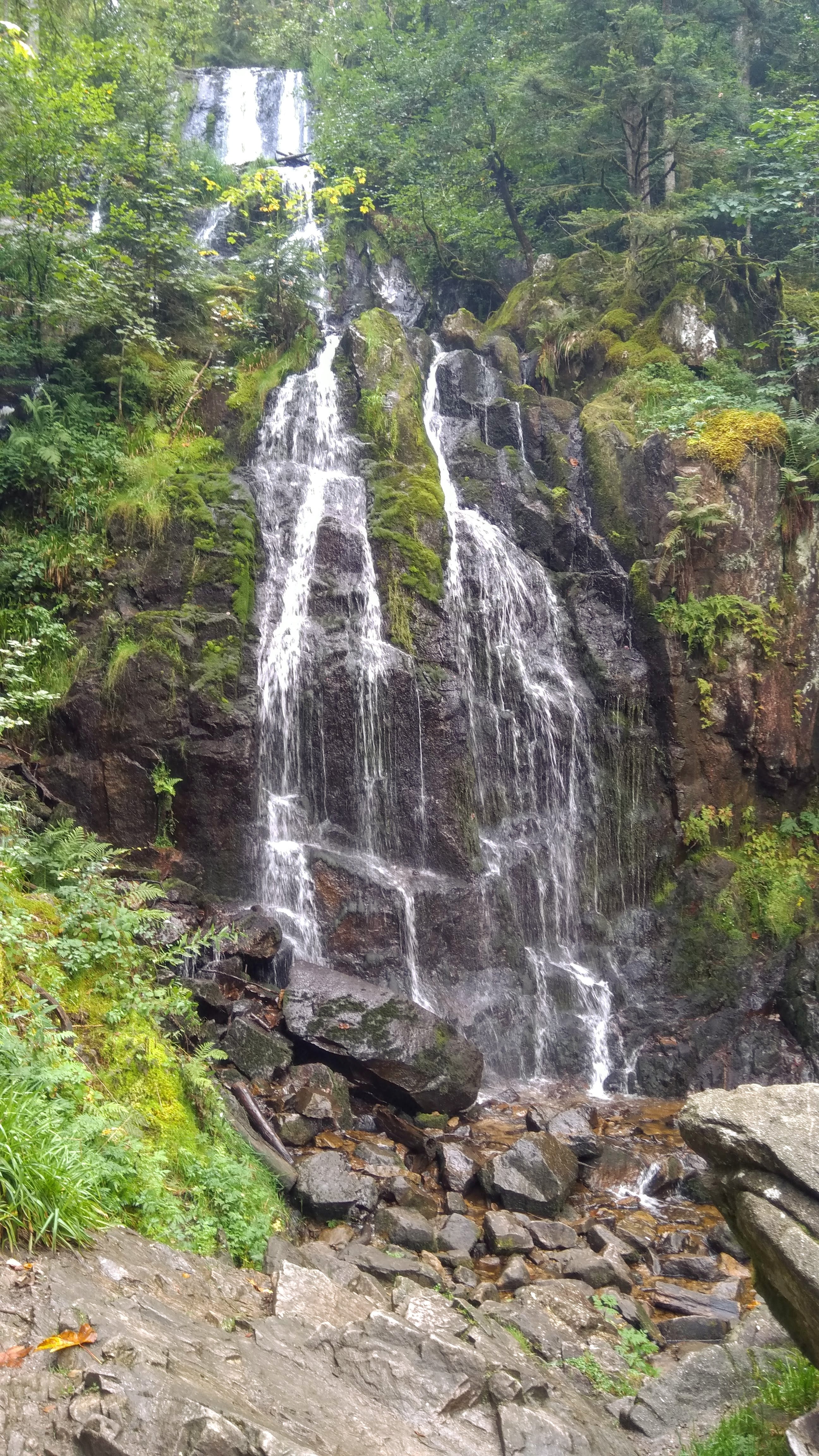 Photo n° 1 de l'avis de Stéphane.e fait le 26/07/2022 à 18:06