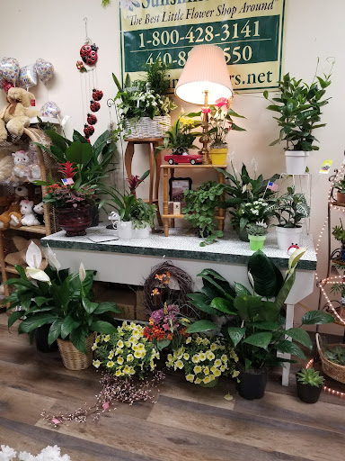 Florist «Sunshine Flowers», reviews and photos, 6230 Stumph Rd, Parma Heights, OH 44130, USA
