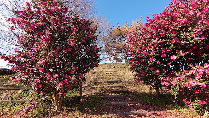 松ヶ島城趾