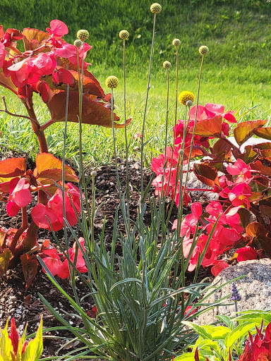 Golf Course «Chaska Town Course», reviews and photos, 3000 Town Course Dr, Chaska, MN 55318, USA