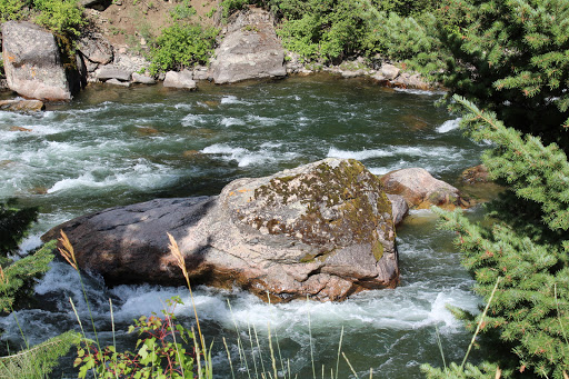 Gift Shop «Montana Gift Corral», reviews and photos, 237 E Main St, Bozeman, MT 59715, USA