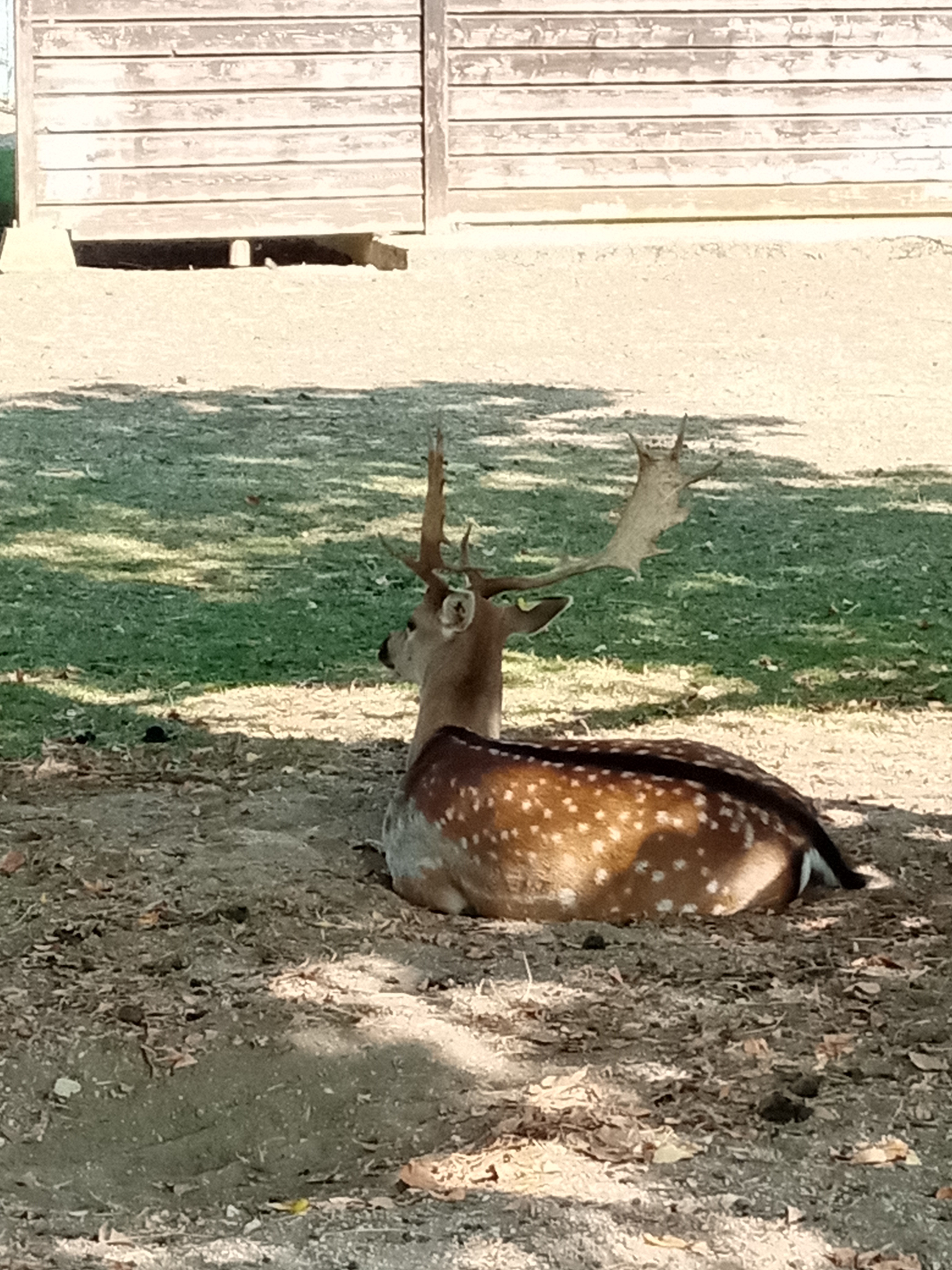 Photo n° 10 de l'avis de Sabrina. fait le 21/09/2020 à 16:35