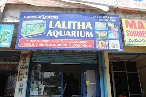 Lalitha Aquariums image