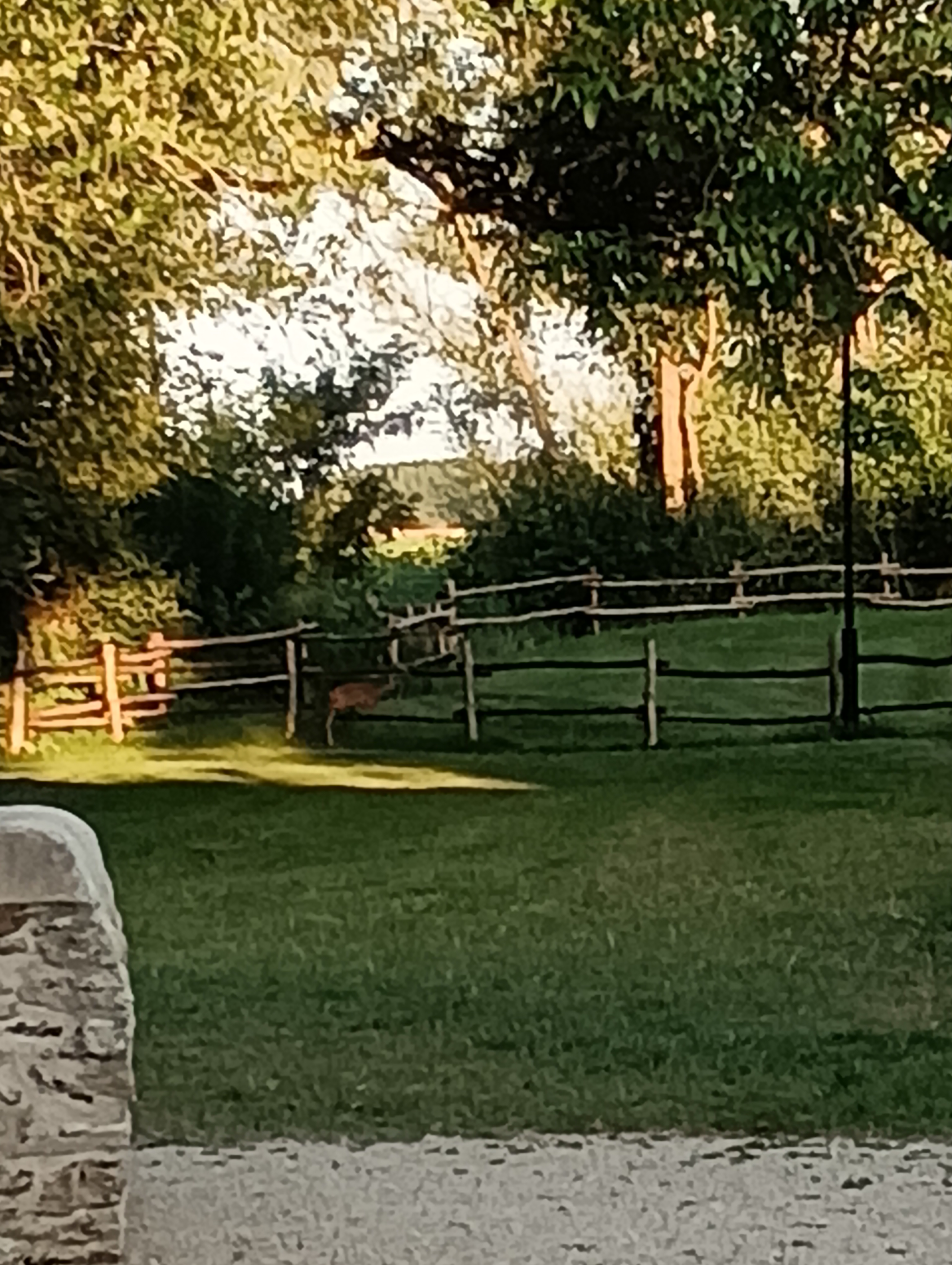 Photo n° 1 de l'avis de Joel.u fait le 09/07/2023 à 18:14