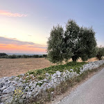 Photo n°5 de l'avis de Francesco.o fait le 20/08/2023 à 06:12 sur le  Relais Masseria Sant'Elia à Martina Franca