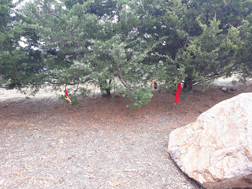 Tourist Attraction «Mankato Walking Sculpture Tour», reviews and photos, 127 S 2nd St, Mankato, MN 56001, USA