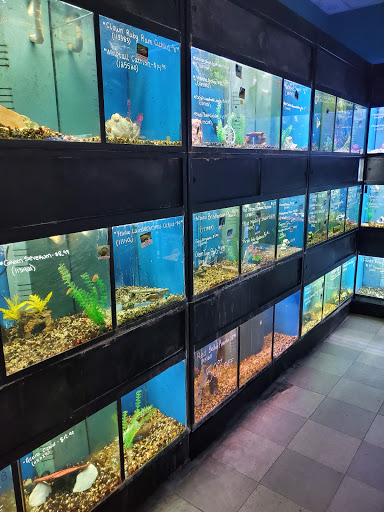 Pet Supply Store «Petland», reviews and photos, 6126 Northwest Hwy, Crystal Lake, IL 60014, USA