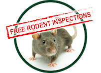 Kilter Termite and Pest Control - Photo 6 - Car repair in Escondido, CA, Oceanside
