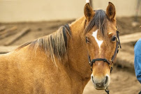 Jason Petorak Photography - Photo 5 - Car repair in Eugene, OR, Eugene