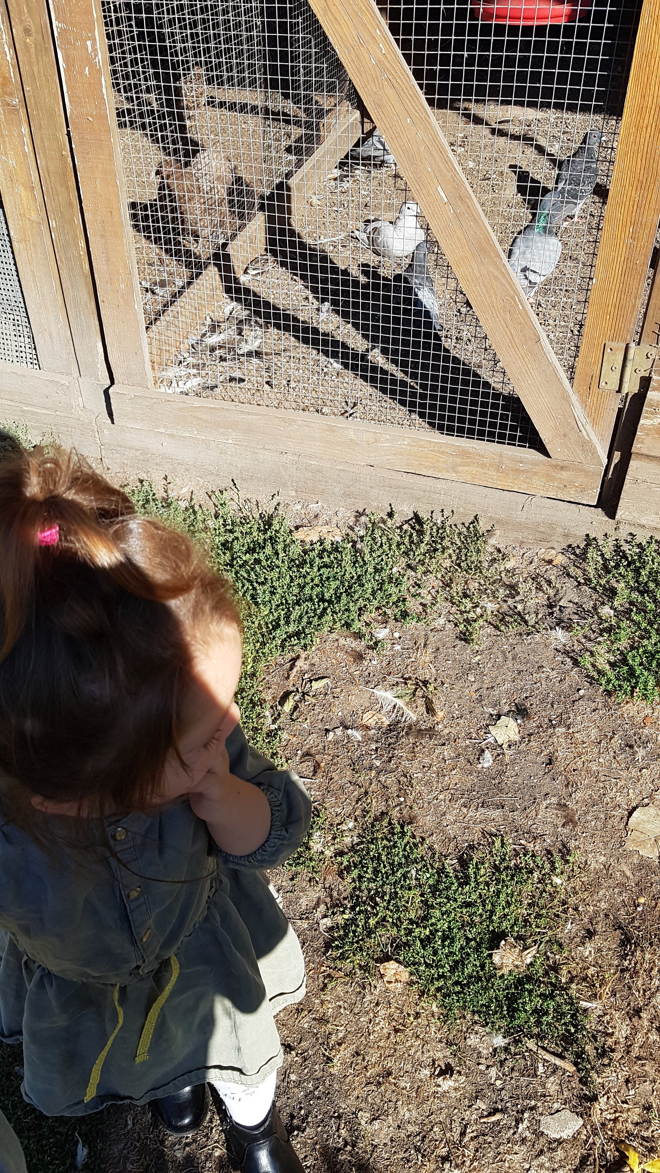 Photo n° 1 de l'avis de Noelle.a fait le 10/09/2020 à 16:01