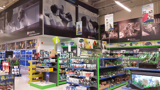 Petuluku Arroyomolinos - Arroyomolinos