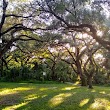 Pine Island Ridge Park