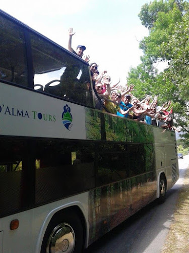 Avaliações doDalmatours - autocarros panorâmicos em Arcos de Valdevez - Agência de viagens
