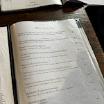 Photo n°1 de l'avis de Marco.a fait le 01/11/2023 à 17:01 sur le  Osteria al carro armato à Verona