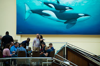 Magnafoto Video Production & Photography - Photo 7 - Car repair in Orlando, FL, Orlando