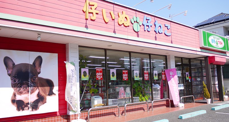 ぽちプラザ岩槻店