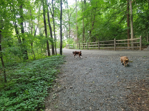 Dog Park «Danvers Dog Park», reviews and photos, 29 Ingersoll St, Danvers, MA 01923, USA