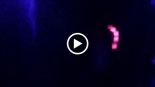 Club «Sky City», reviews and photos