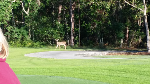 Golf Course «Tranquilo Golf Club at Four Seasons Resort Orlando», reviews and photos, 3451 Golf View Dr, Lake Buena Vista, FL 32830, USA