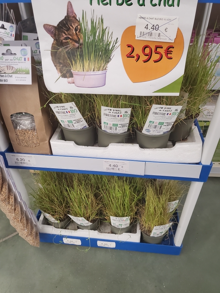 Photo n° 1 de l'avis de Zezette.p fait le 29/10/2021 à 17:12