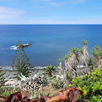 Photo n°3 de l'avis de Mimosa.o fait le 02/07/2021 à 22:16 sur le  Hotel Orca Praia à Funchal