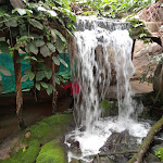 Photo n° 1 de l'avis de Élisabeth.e fait le 03/08/2023 à 08:28 pour ZooParc de Beauval Entrée Nord à Saint-Aignan