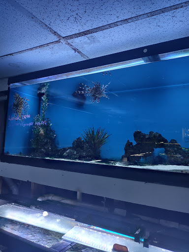 Pet Store «Fish Bowl Aquarium & Pet Mart», reviews and photos, 725 Providence St, West Warwick, RI 02893, USA