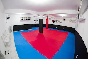 Fighter Jiu-Jitsu Team image
