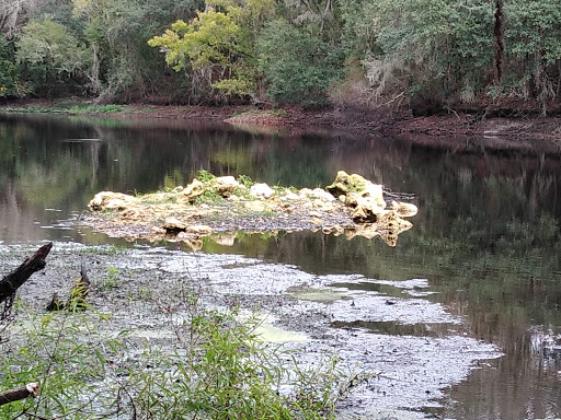 Park «Alafia River State Park», reviews and photos, 14326 S County Rd 39, Lithia, FL 33547, USA