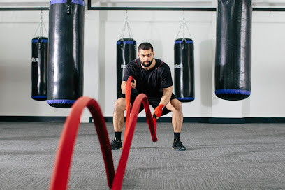 Boxing in Wellington - Body Shot Fitness