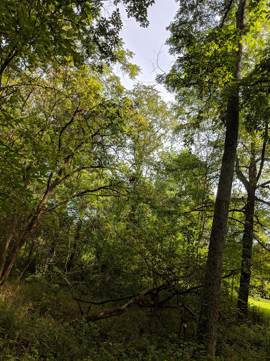 Park «Mary Gray Bird Sanctuary», reviews and photos, 3499 S Bird Sanctuary Rd, Connersville, IN 47331, USA