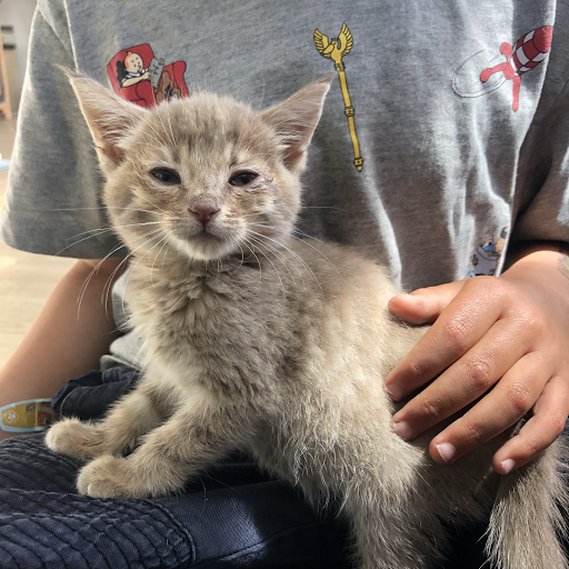 Pet Supply Store «Cole Valley Pets», reviews and photos, 910 Cole St, San Francisco, CA 94117, USA