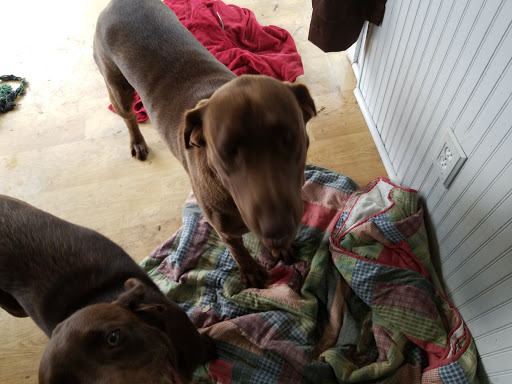 Mayville Veterinary Clinic