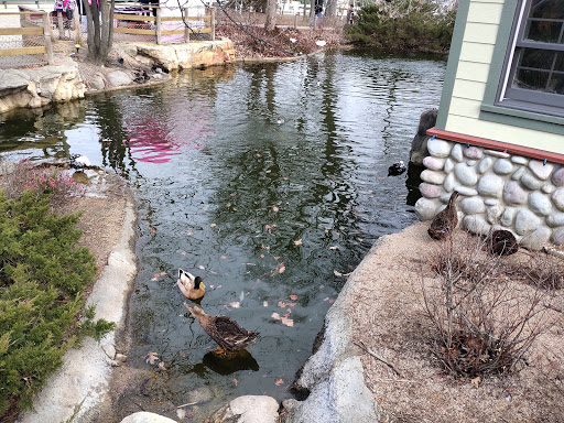 Zoo «Cosley Zoo», reviews and photos, 1356 N Gary Ave, Wheaton, IL 60187, USA