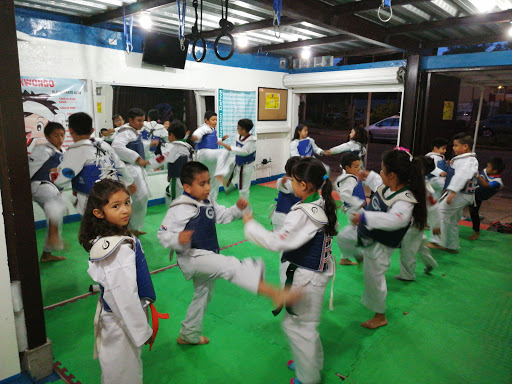 Organizacion Daiwa Taekwondo
