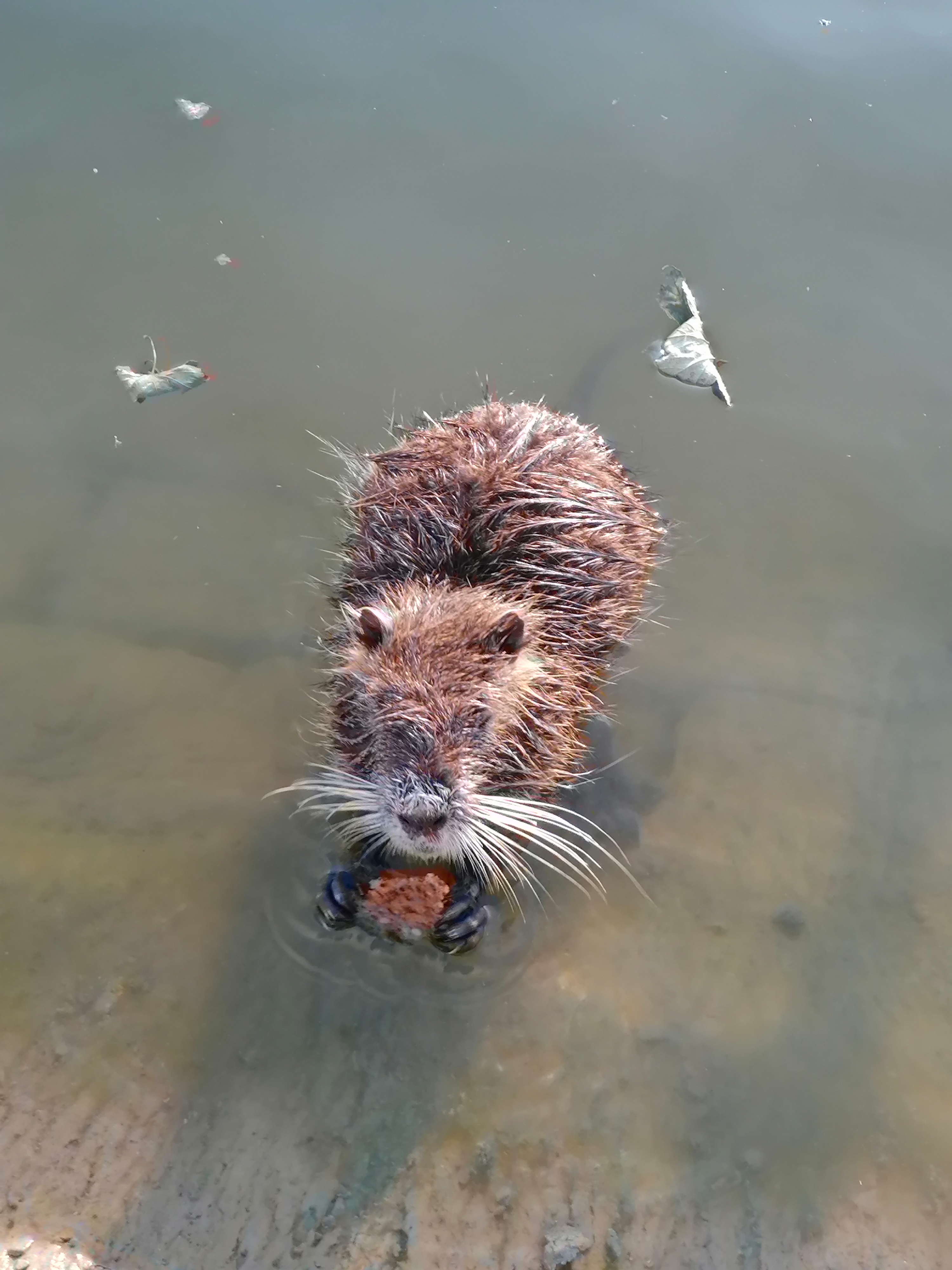 Photo n° 1 de l'avis de Carine.o fait le 23/09/2020 à 19:04