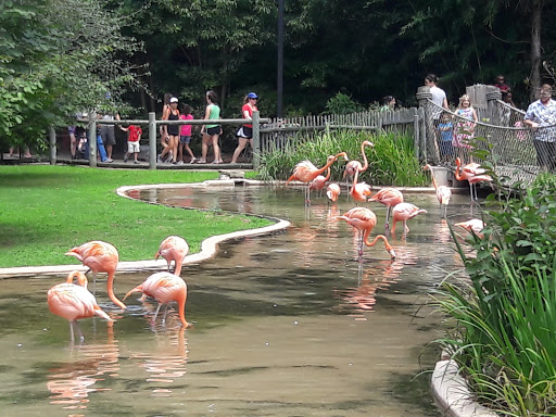 Zoo «Nashville Zoo at Grassmere», reviews and photos, 3777 Nolensville Pike, Nashville, TN 37211, USA