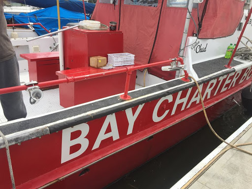 Bay Charter Boats