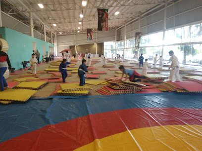 GIMNASIO B, INSTITUTO DEL DEPORTE DEL ESTADO DE AG - Av. de la convencion de 1914 Oriente # 401, Heroes, Aguascalientes, Ags., Mexico