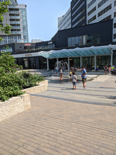 Tourist Attraction «Pedestrian Mall», reviews and photos, 201 Dubuque St, Iowa City, IA 52240, USA