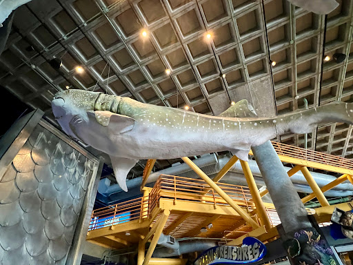 Aquarium «Audubon Aquarium of the Americas», reviews and photos, 1 Canal St, New Orleans, LA 70130, USA